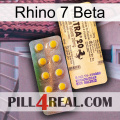 Rhino 7 Beta new06